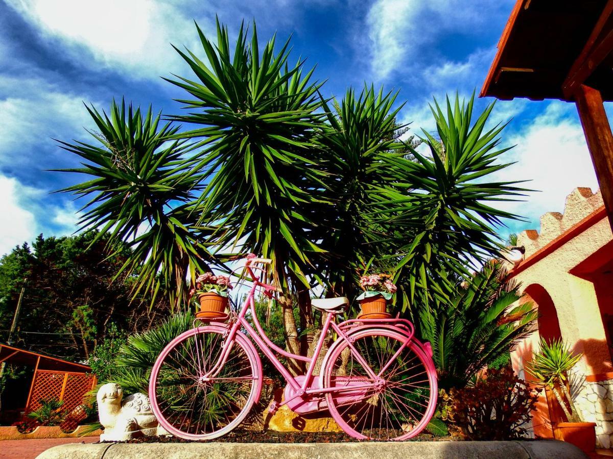 B&B Cala Dolce อาลเกโร ภายนอก รูปภาพ